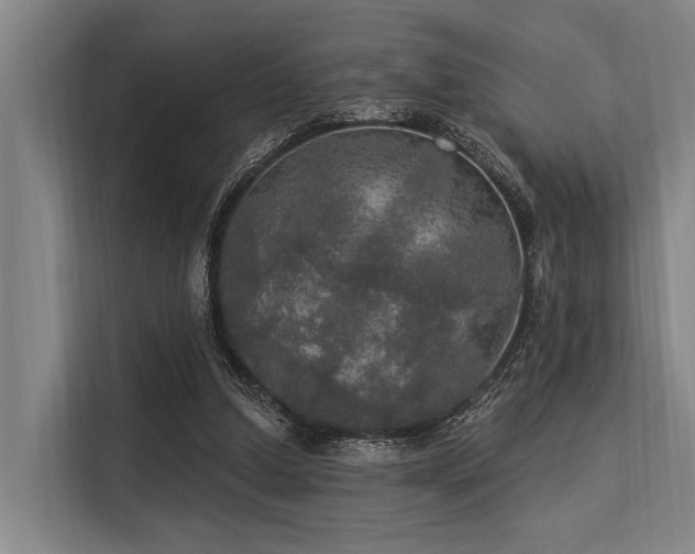 X0000113550250200909181205