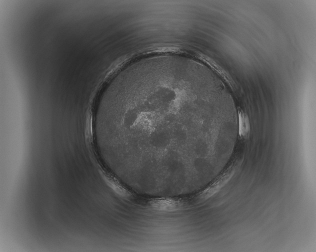 X0000113550253200909181205