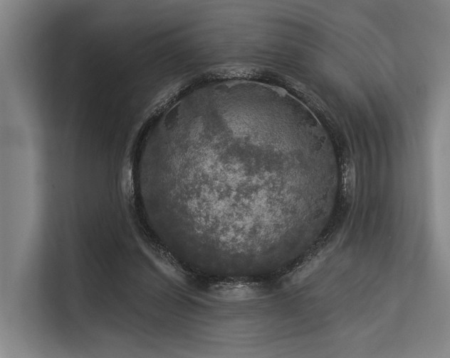 X0000113550254200909181205