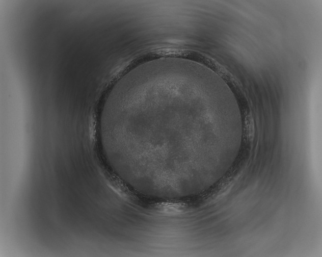 X0000113550255200909181205