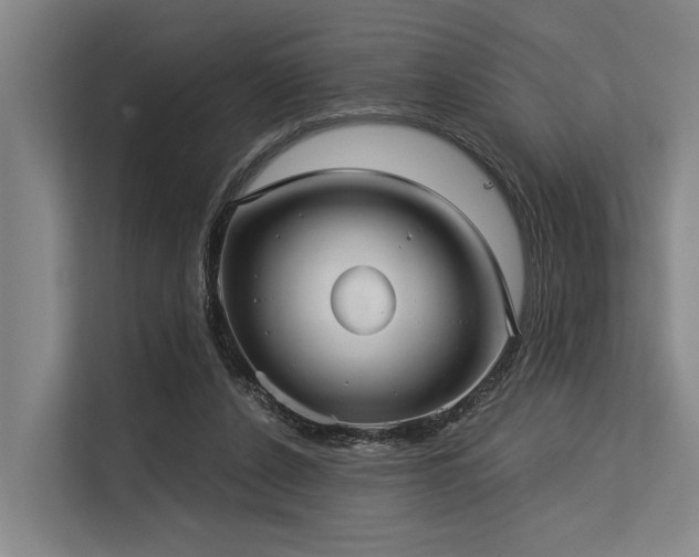 X0000113550256200909181205