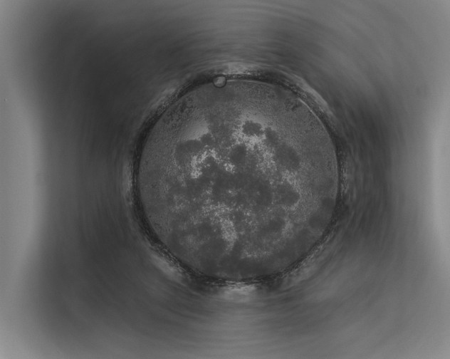 X0000113550257200909181205