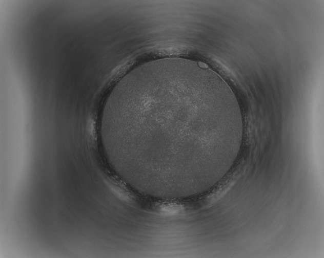 X0000113550258200909181205