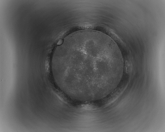 X0000113550259200909181205