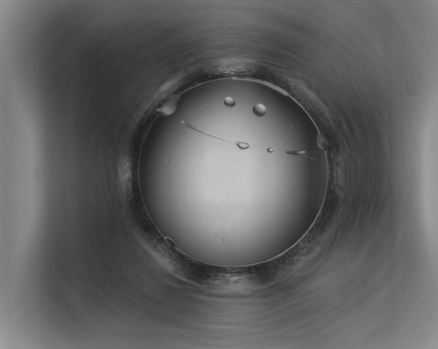 X0000113550260200909181205