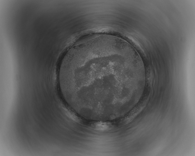 X0000113550261200909181205