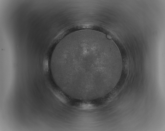 X0000113550262200909181205