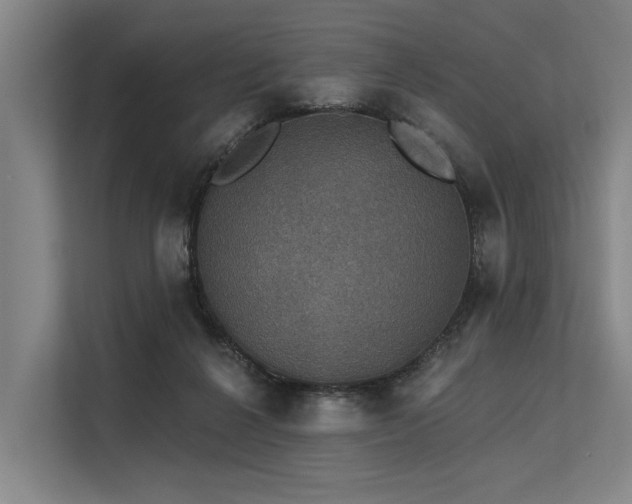 X0000113550264200909181205