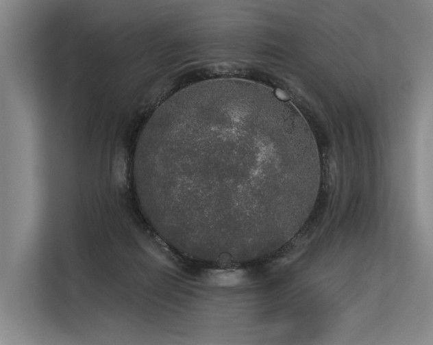 X0000113550266200909181205