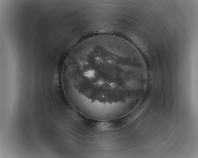 X0000113550269200909181205