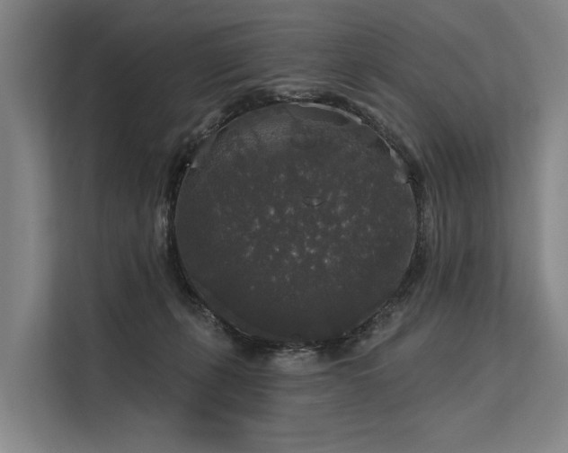 X0000113550271200909181205