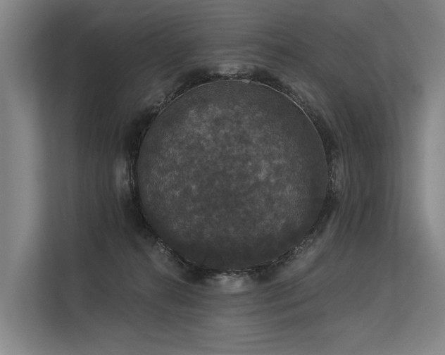 X0000113550272200909181205