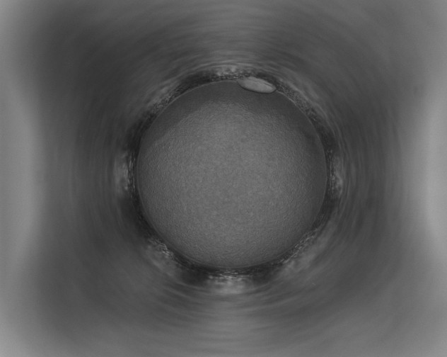 X0000113550276200909181205