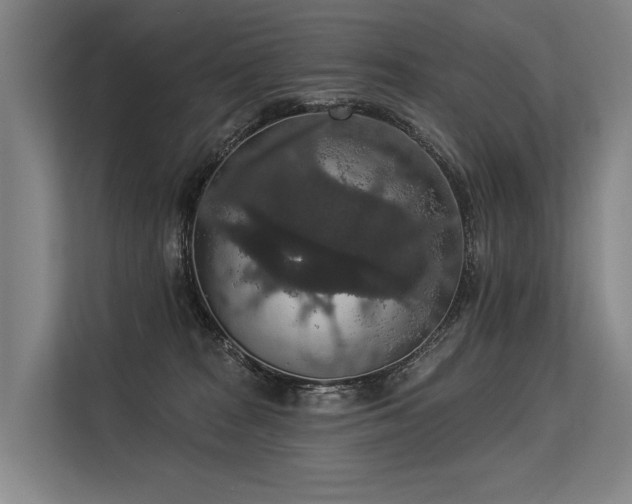 X0000113550277200909181205