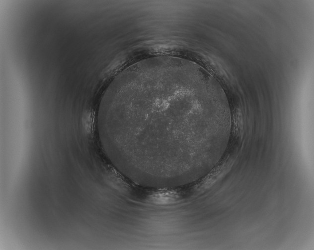 X0000113550278200909181205