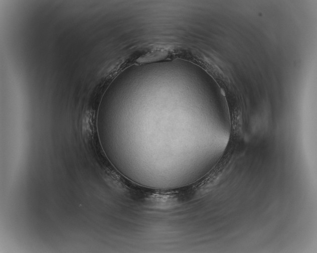 X0000113550280200909181205