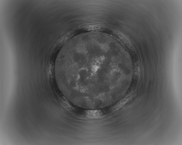 X0000113550281200909181205