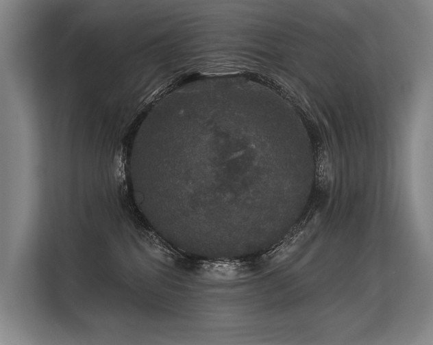 X0000113550282200909181205