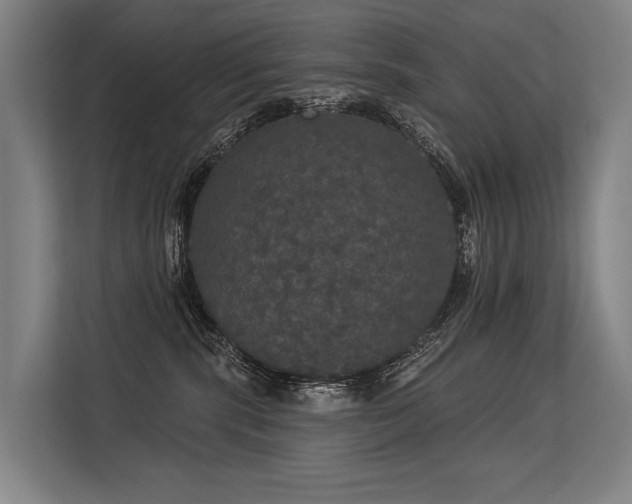 X0000113550283200909181205