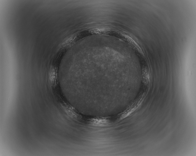 X0000113550284200909181205