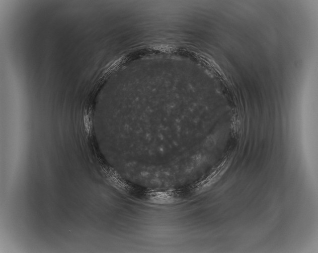 X0000113550285200909181205