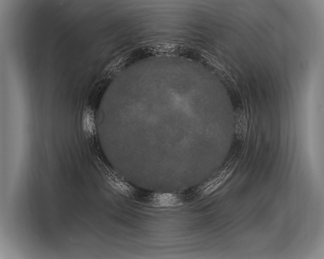 X0000113550287200909181205