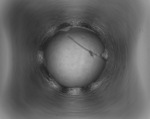 X0000113550288200909181205