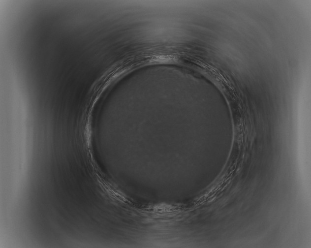 X0000113550290200909181205