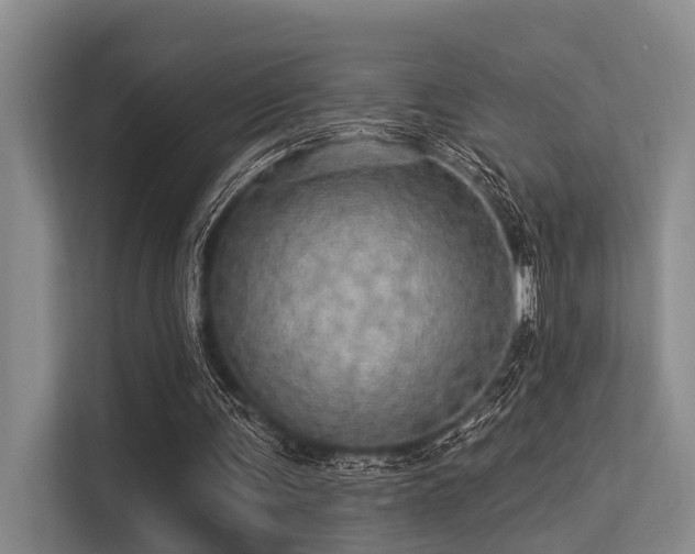 X0000113550291200909181205