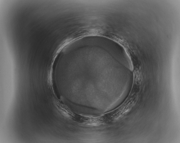 X0000113550292200909181205