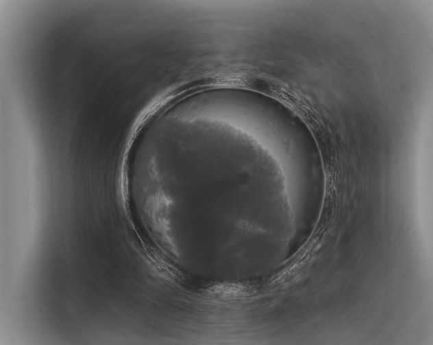 X0000113550294200909181205