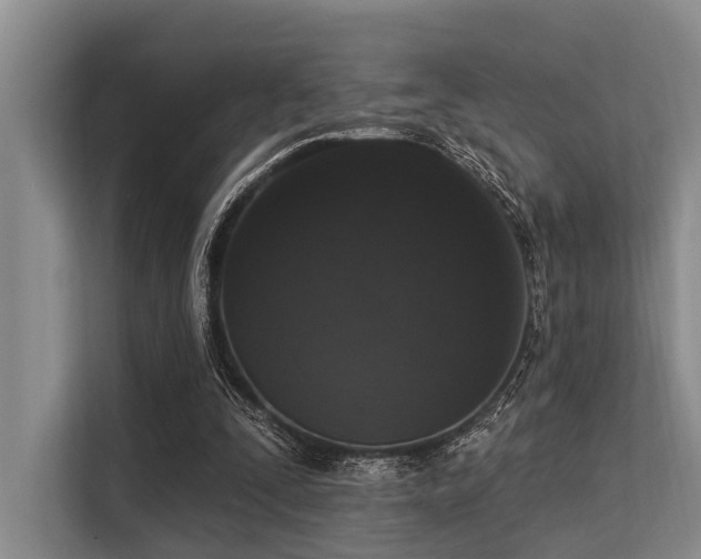 X0000113550295200909181205