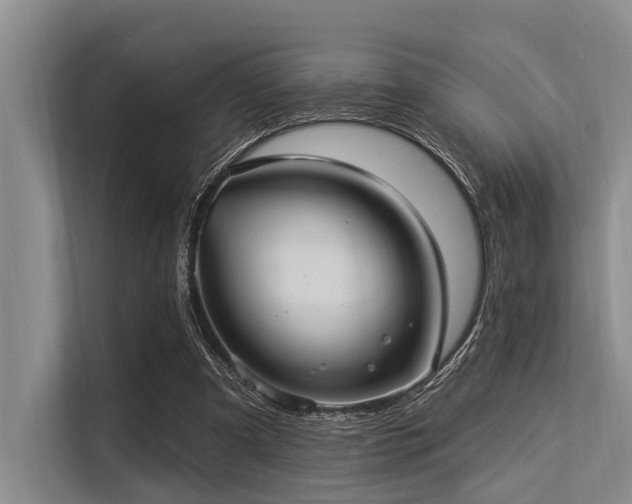 X0000113550297200909181205