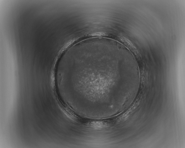 X0000113550298200909181205