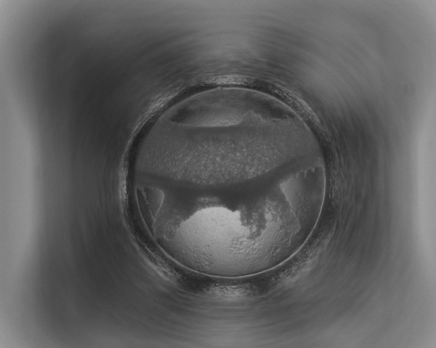 X0000113550299200909181205