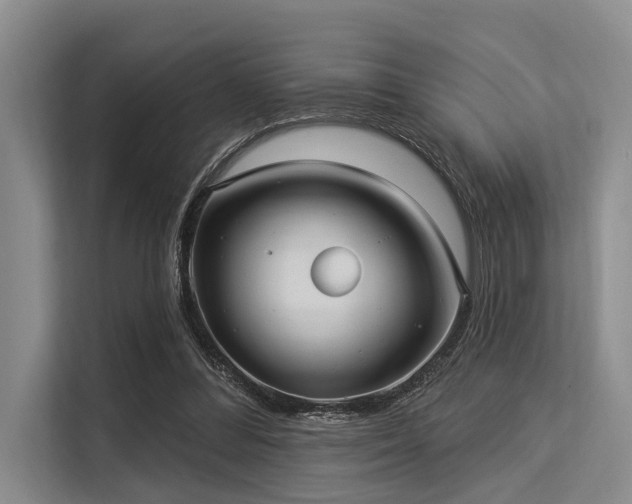 X0000113550300200909181205