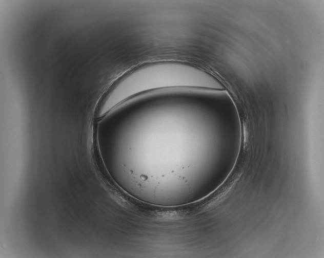 X0000113550301200909181205