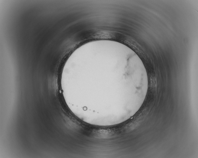 X0000113550302200909181205