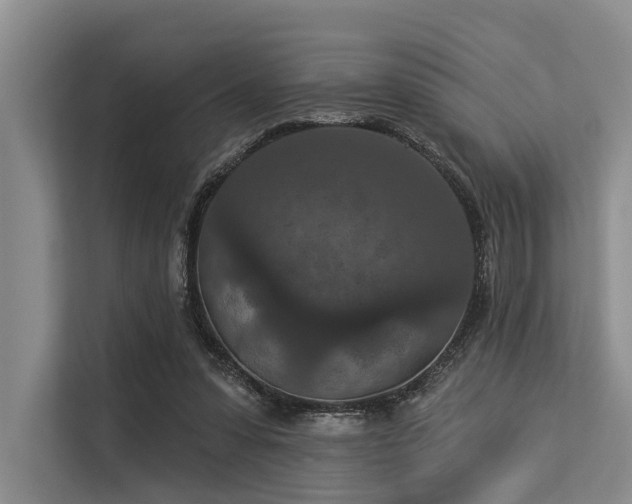 X0000113550303200909181205