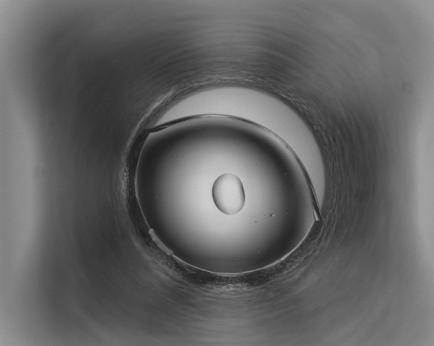 X0000113550304200909181205