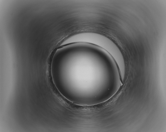 X0000113550305200909181205