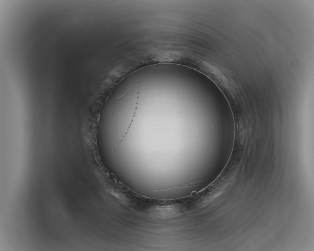 X0000113550307200909181205