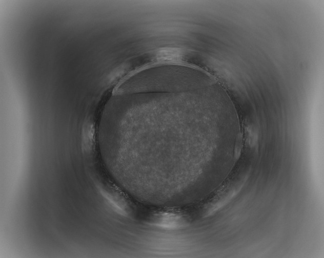 X0000113550308200909181205