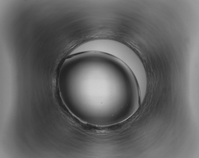 X0000113550309200909181205