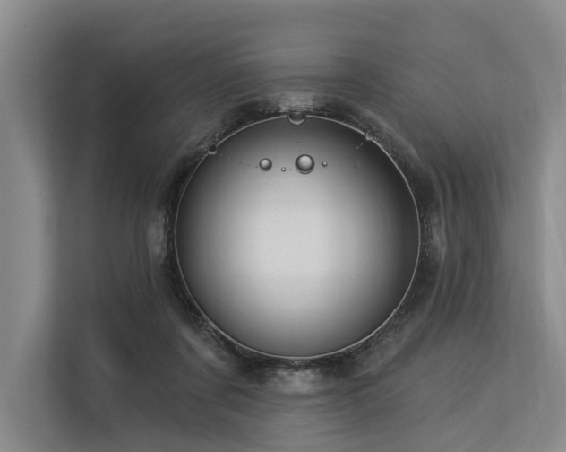 X0000113550311200909181204