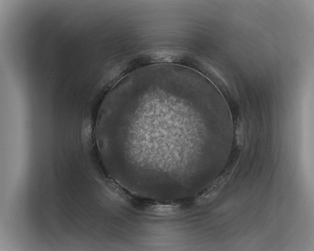 X0000113550314200909181204