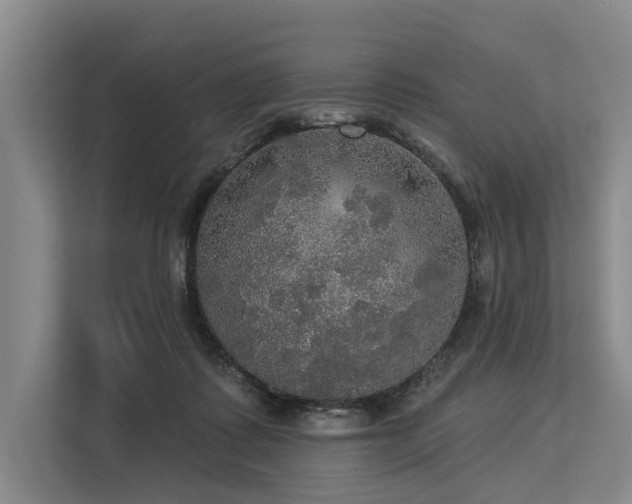 X0000113550315200909181204