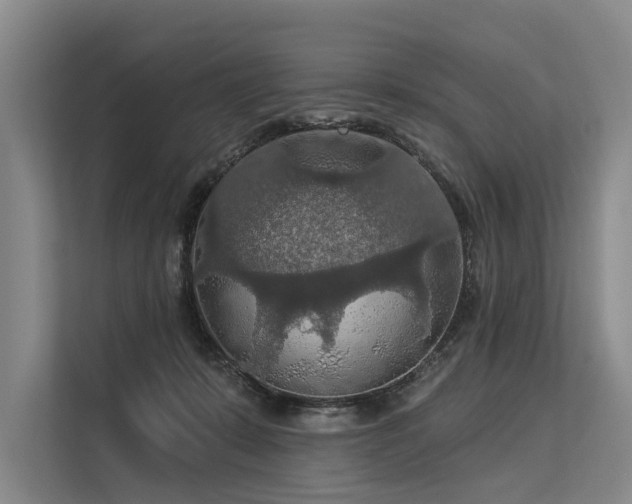 X0000113550319200909181204