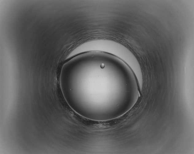 X0000113550320200909181204