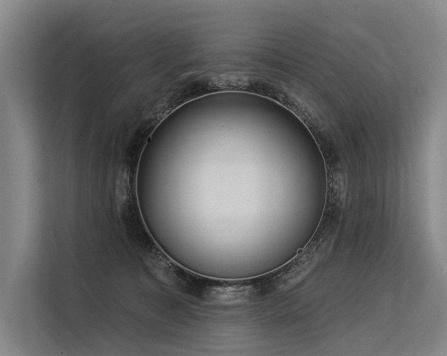 X0000113550323200909181204